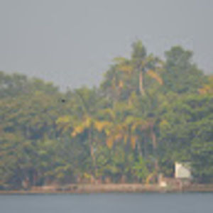 Meet your Posher, Sureshan